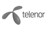 Telenor hyr från Glasskalas.se